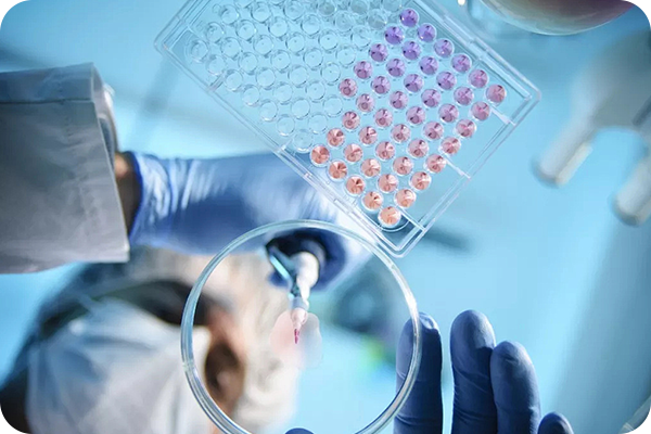 流式细胞术（FCM）