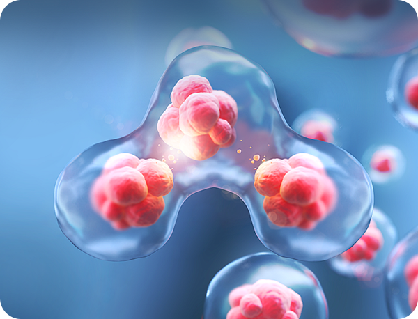 酶联免疫吸附测定（ELISA）