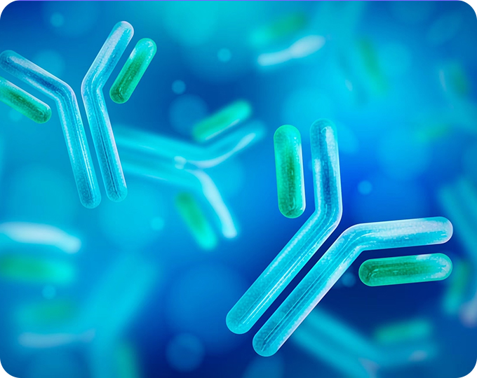 病理级IHC专用一抗