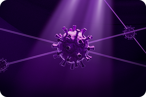 免疫荧光（IF）