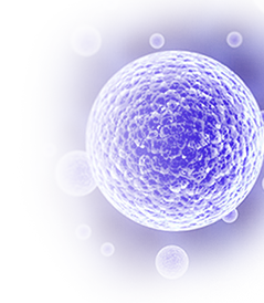 Phosphorylated Antibodies