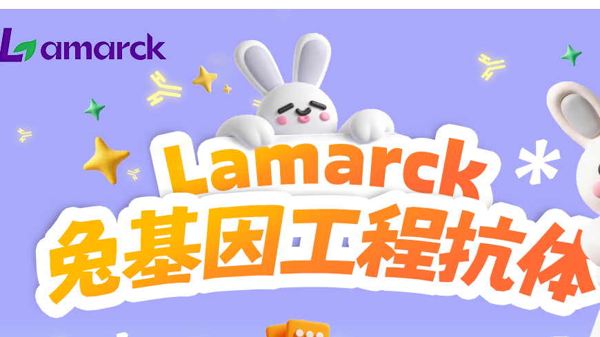 Lamarck兔基因工程抗体丨多维度四阶特异性精筛，全流程严控，精准特异性，稳定覆盖全场景~